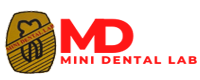 Mini Dental Lab